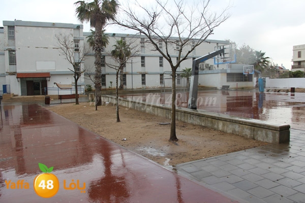 Idrab yaffa abo3azi (3).jpg